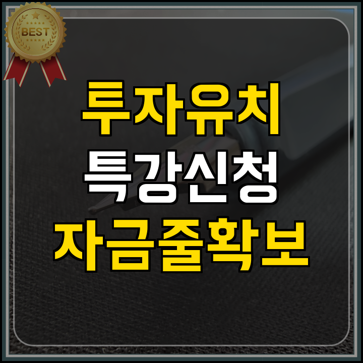 정부지원사업 초기 창업 기업 투자 유치 특강 정리