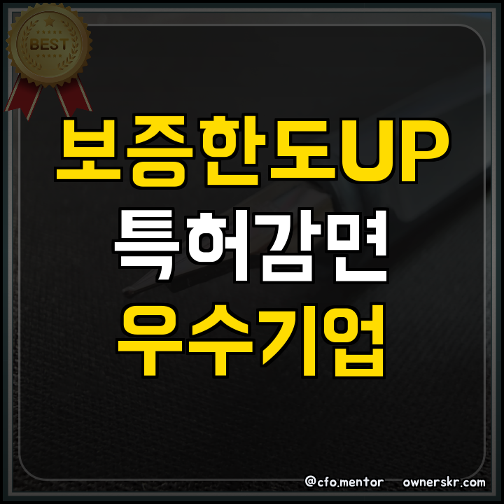 정부지원사업 직무발명인증 특허료 감면 기준