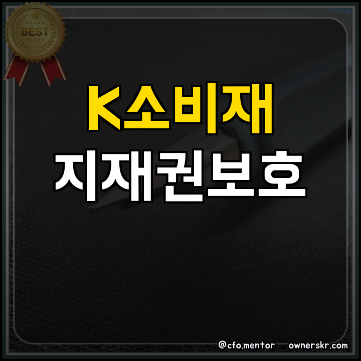 ## 정부지원사업 해외 지재권 침해 대응 지원
