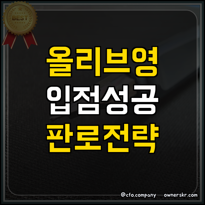 ## 정부지원사업 화장품 판로 확장과 올리브영 입점 전략