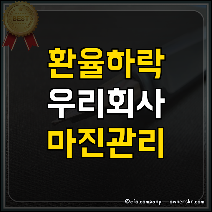 환율 하락기 화장품 수출 환손실 방안